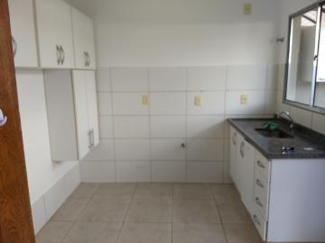 Alugar Casa / Sobrado em São José do Rio Preto. apenas R$ 1.600,00